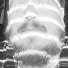 cQdxe_3CE58-channel-avatar-Joe Doomsday