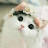 @حورتركي-ش3غ Avatar