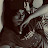 @5virz8