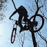o0CvruIay_k-channel-avatar-STR  파크