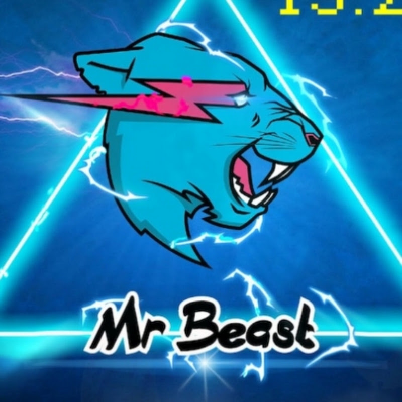 미스터비스트