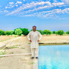 Rahat Amir