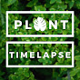 Plant Timelapse logo