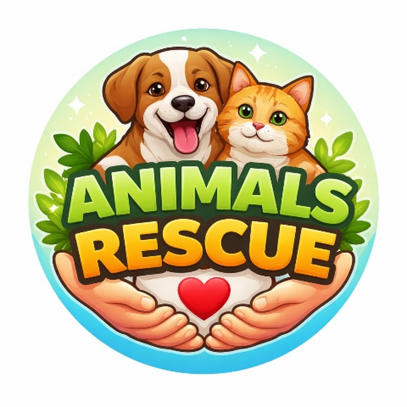 Animals Rescue 🐾