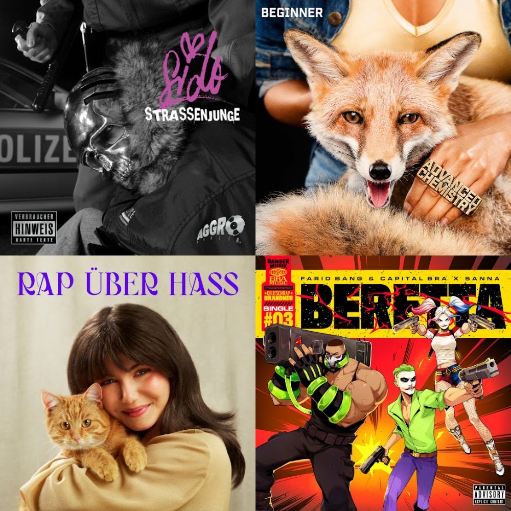 De rapp