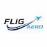 1Zpqu9mTT-g-channel-avatar-FLIG AERO