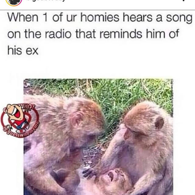 cEUEkmxb63npCZVBM62U6SZ29Y2QtgTOg73J43xBMM5QpzFrAOAzCihiNkbBdlH12hxhBqxnTlbob0Y=s640-c-fcrop64=1,0000106dffffef92-nd-v1