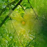UwX3LFDitzo-channel-avatar-Asd Bnm