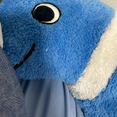アナゴキッズアイコン画像