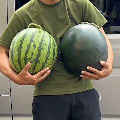 まーさん農園　〜野菜づくりの記録〜アイコン画像