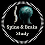 Spine & Brain Study logo