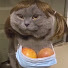e69_YV_VP_4-channel-avatar-지혜투게더