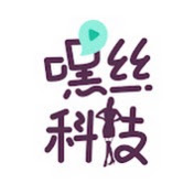 嘿丝科技