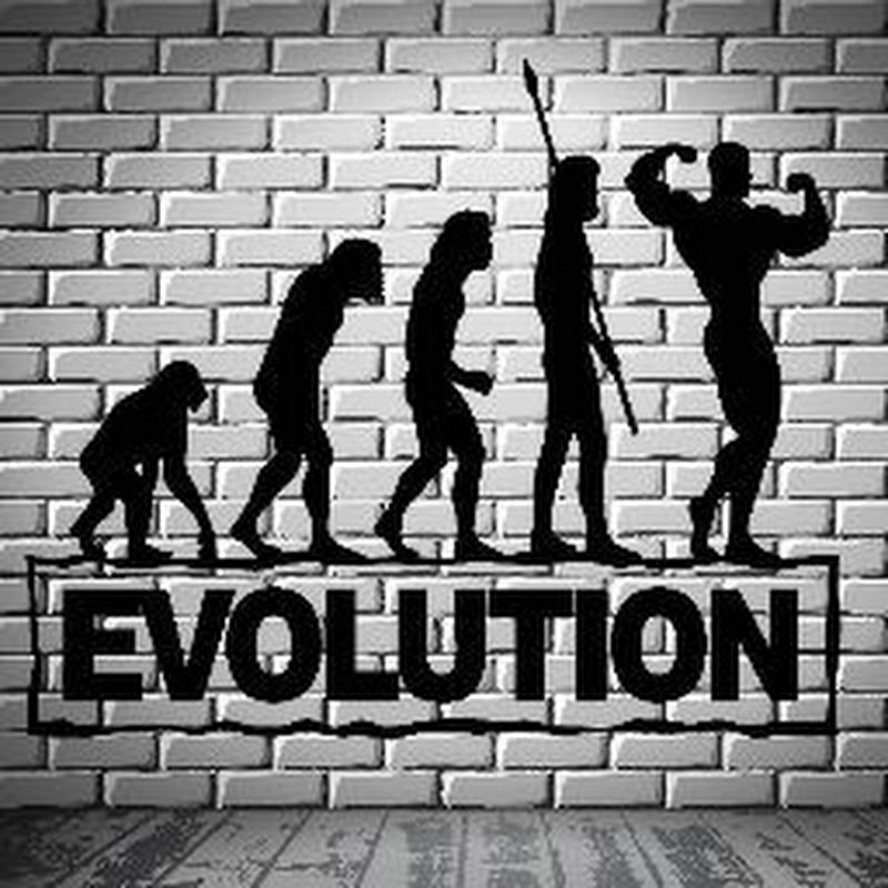*FITNESS EVOLUTION *