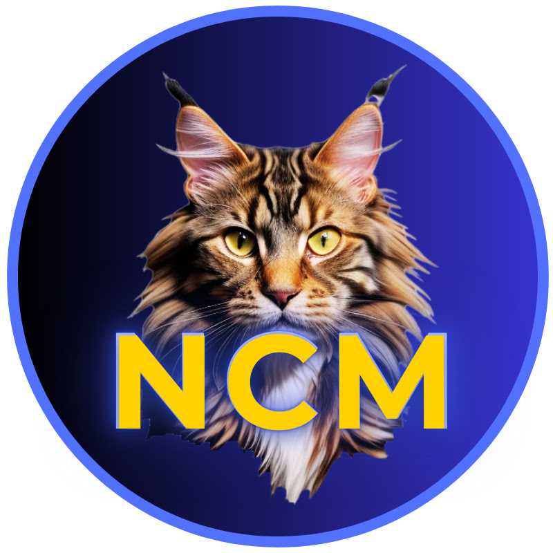 Needy Cat Media