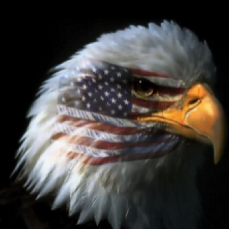 The Real BPEarthWatch