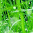 @vashwati1995's avatar