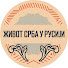 SO9iliwa_vM-channel-avatar-Život Srba u Rusiji 