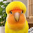 @Some0ne001 Avatar