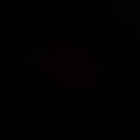 IIZ profile image