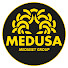 rbqI8yVhEtk-channel-avatar-Medusa Film Official