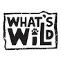 What's Wild logo