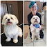 r94hdrVKiCc-channel-avatar-Size Matters Dog Grooming