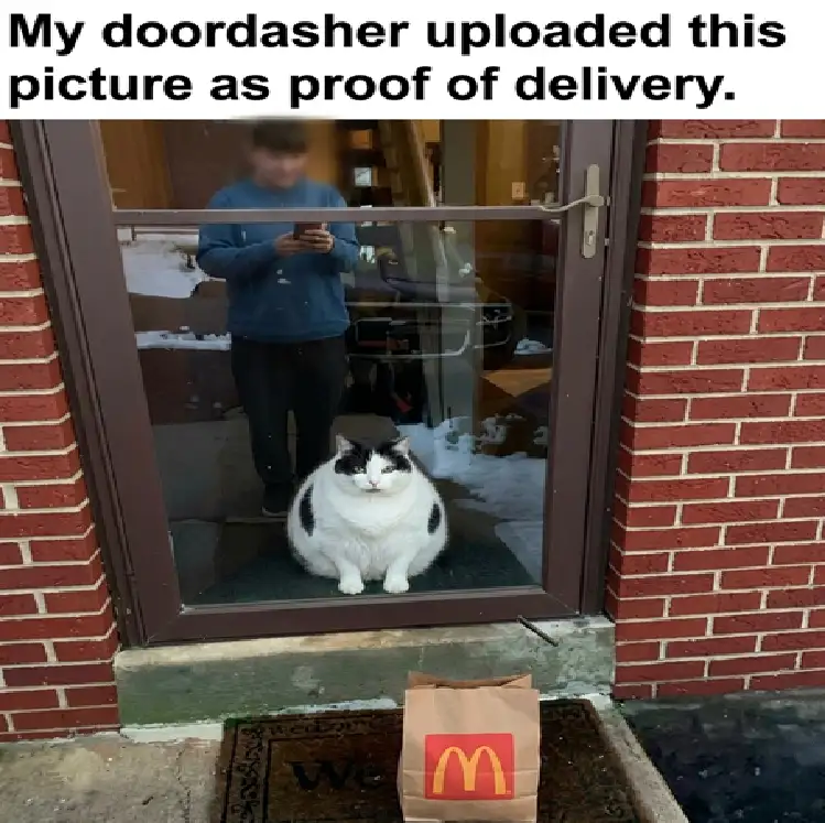 Meme from post 27652946