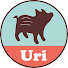 YsshsRG_pl8-channel-avatar-山本あきこ(Uri)