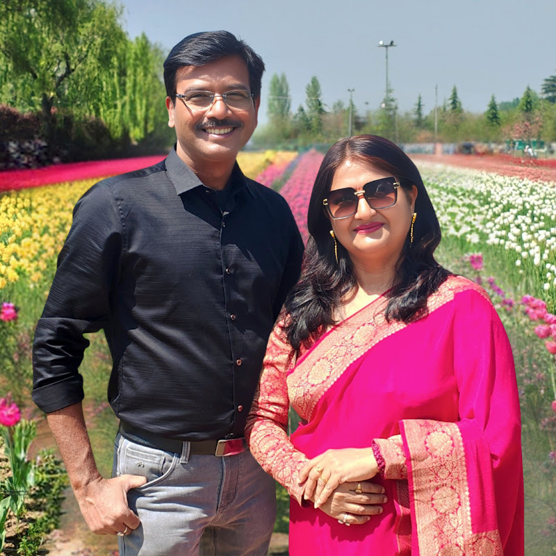 Anindya's Travelogue