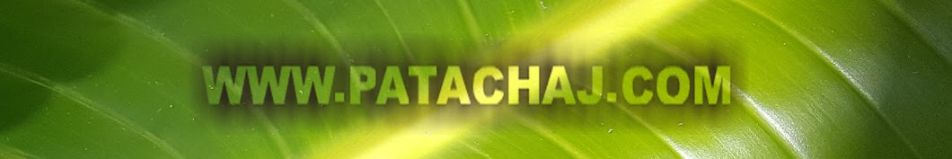 PATACHAJ RADIO XD YouTube kanalı avatarı