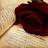 @Zaynib-u7l3b