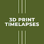 3D print timelapses logo