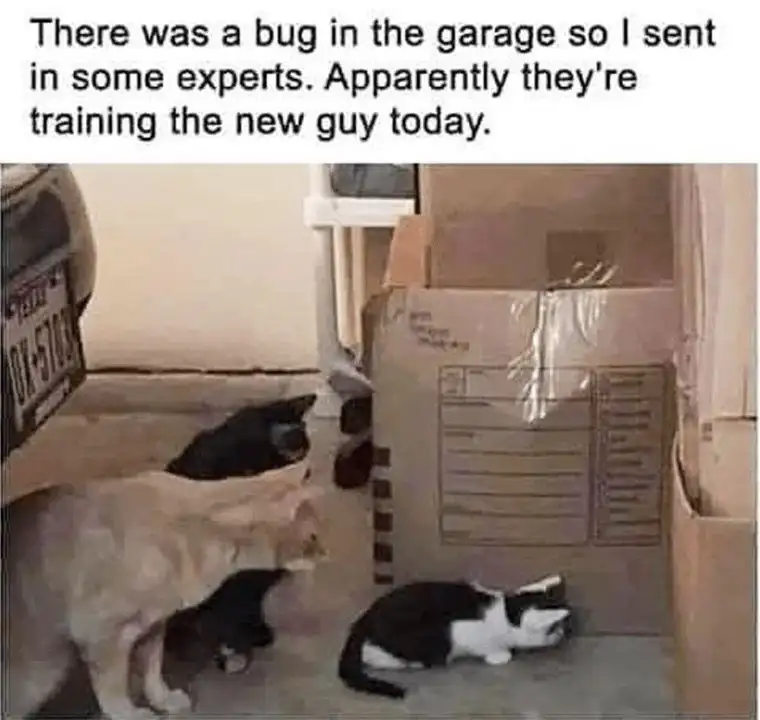 cIIxaBaI67cG-rxe539AHt8BNgG_f7grMNL9tq9a