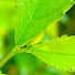 lDtLi4ukH9o-channel-avatar-Hanna Studio