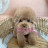 @룰루-vip