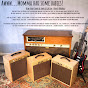 Sanders Amplification