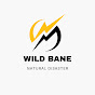 Wild Bane USA logo