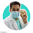 YaObo10OBRA-channel-avatar-Odontoplus