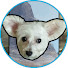 w8oufi6Y9Zw-channel-avatar-Rhadamant