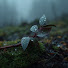v2HRhxK0s7M-channel-avatar-Quiet Worship
