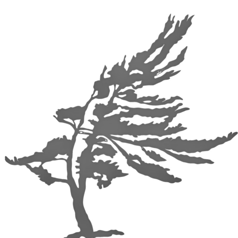 Northern Creations  thumbnail