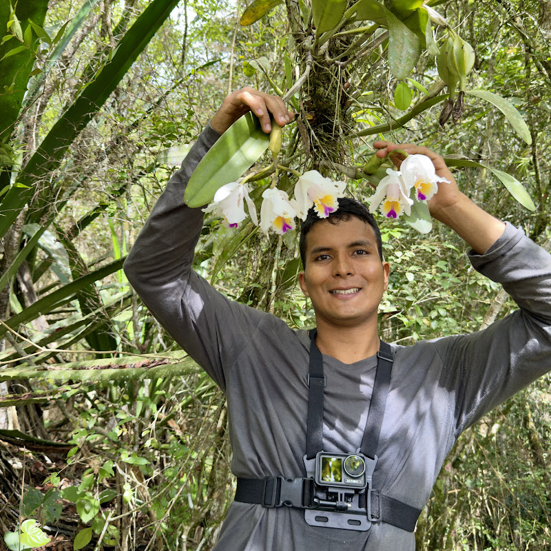 Aventuras con orquideas