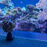 --tvQ8drQjc-channel-avatar-줴씌