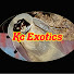 56iX6Ybh0DU-channel-avatar-KC Exotics