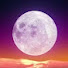 xTv102ISWzg-channel-avatar-Moonless