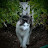 @2catcheryl