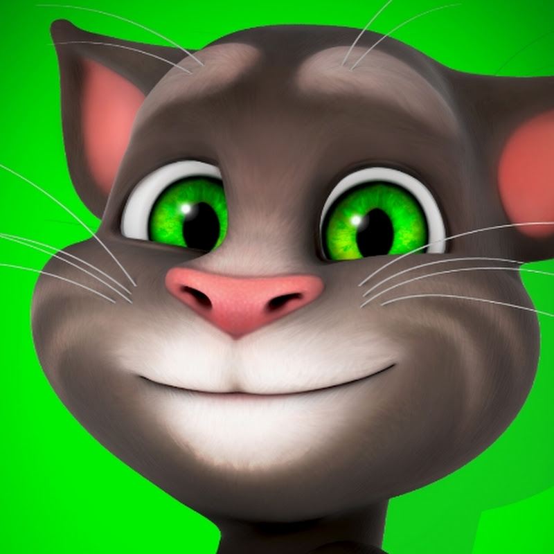 TALKING TOM FUN