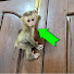 -LmOJu7fhSk-channel-avatar-Monkey Home