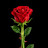 @itzAarif03